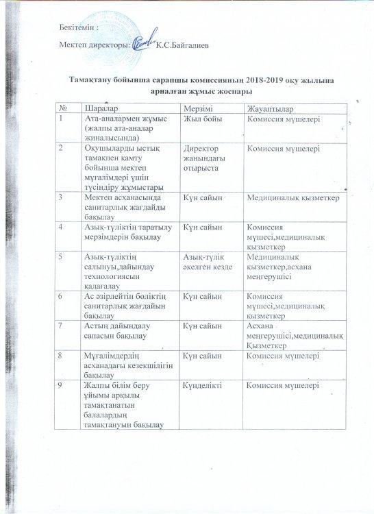Сарапшы комиссияның жұмыс жоспары